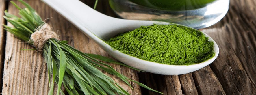 barley grass powder