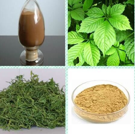 Gynostemma Pentaphyllum Extract