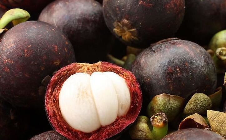 Mangosteen Powder-1