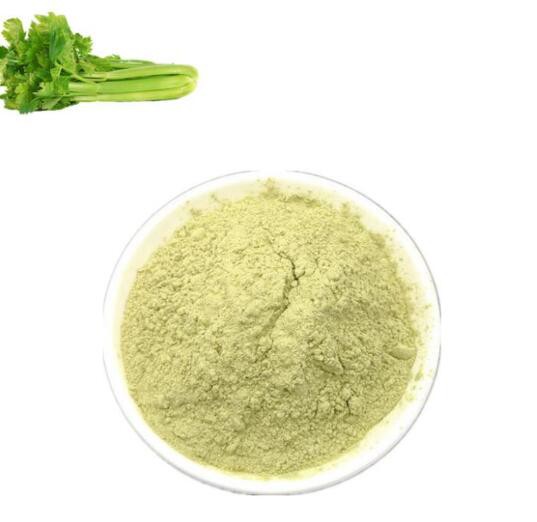 Celery Juice Powder for Curing Celery Juice Powder for Curing