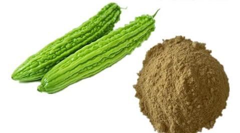 Bitter Gourd Powder-1