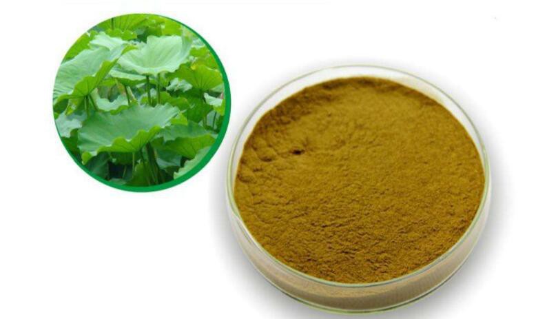 Nuciferine Extract-1