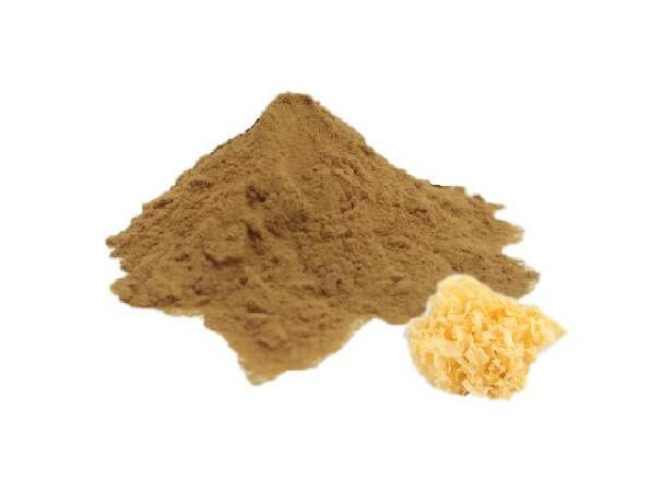 Tremella Fuciformis Sporocarp Extract-1