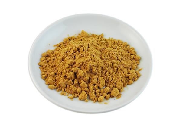 Wild Chrysanthemum Extract-1