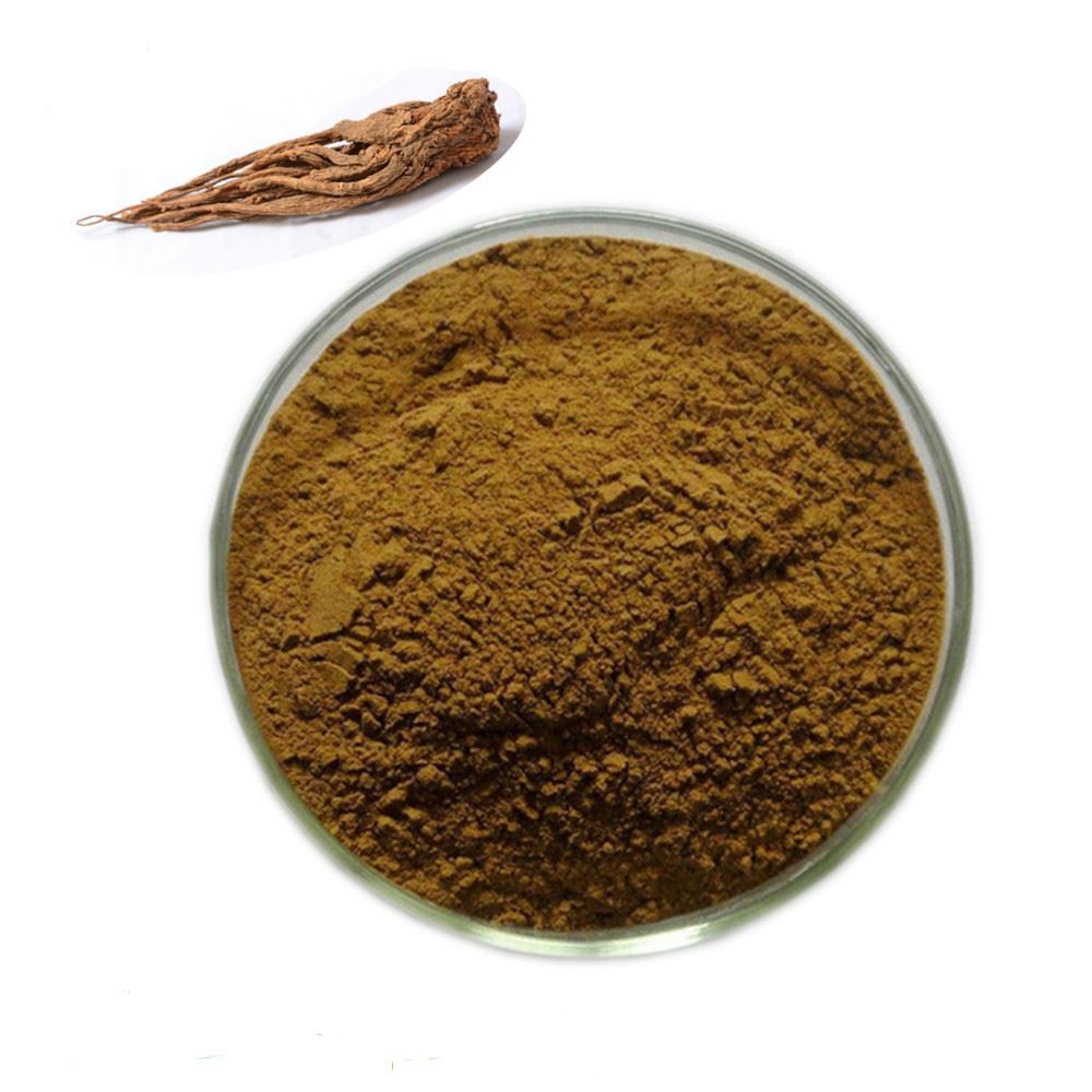 Angelica Root Extract-1