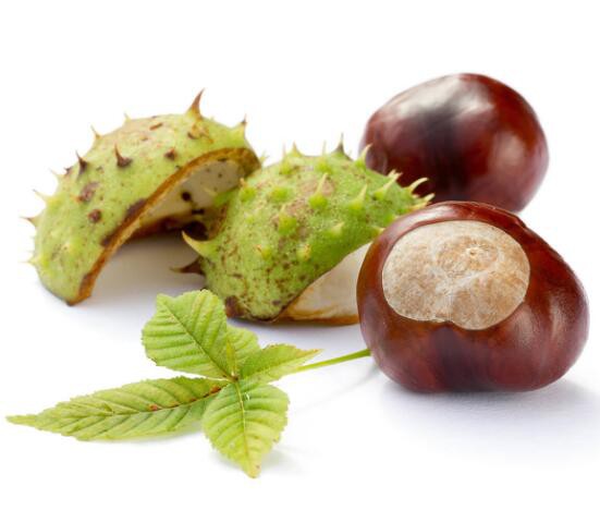 Horse chestnut extract