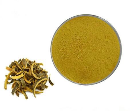 phellodendron bark benefits phellodendron bark benefits