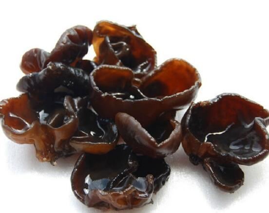 Black Fungus Extract