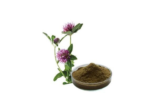 Alfalfa Extract