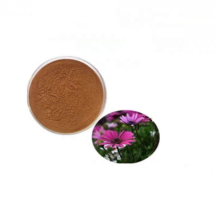 Echinacea Goldenseal Extract-2.jpg