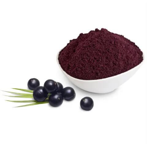 Elderberry Powder Elderberry Powder
