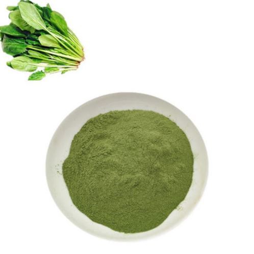 Spinach Extract for Weight Loss-1.png Spinach Extract for Weight Loss-1.png