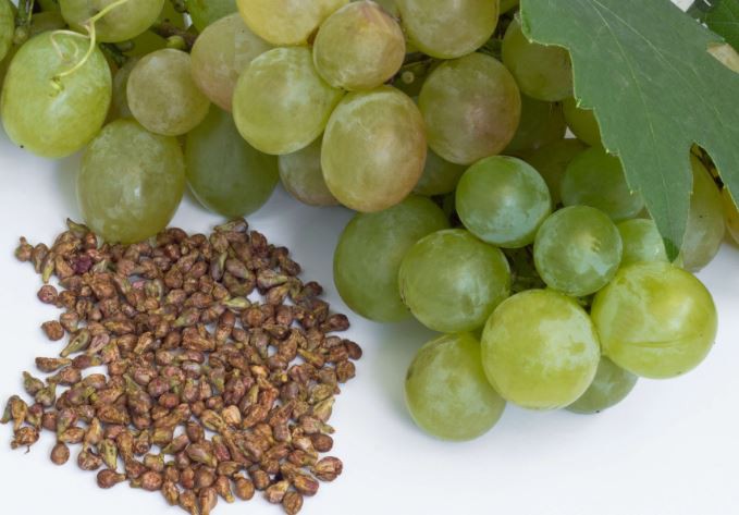 Organic Grape Seed Powder Benefits