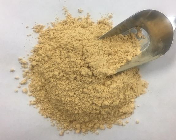 Lion's Mane Powder Bulk-1