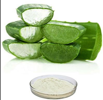 Aloe Vera Spray Dried Powder-1