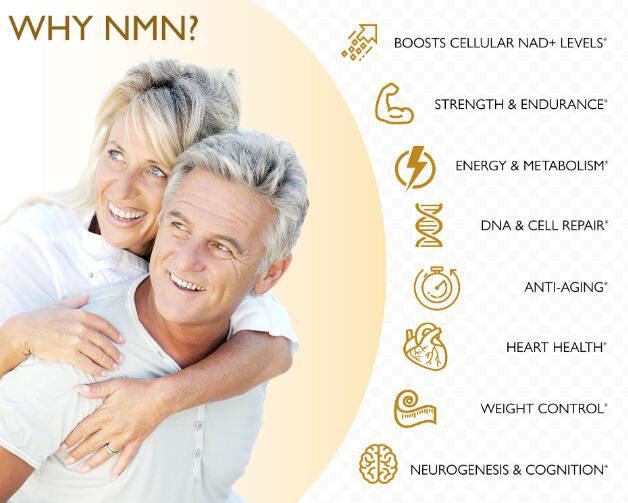 Nicotinamide Mononucleotide Powder Benefits