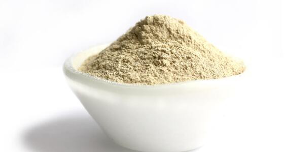 echinacea purpurea root powder