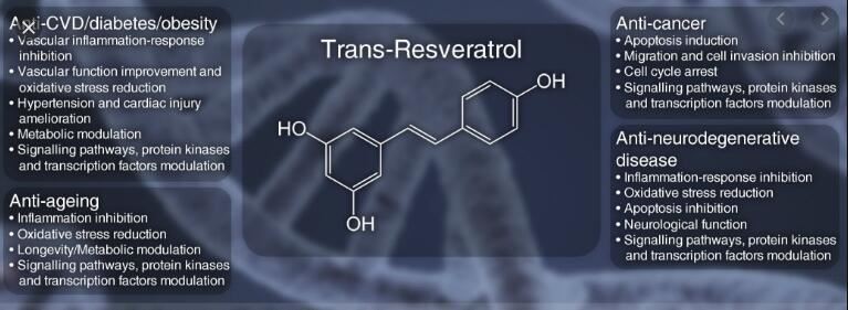 trans resveratrol benefits