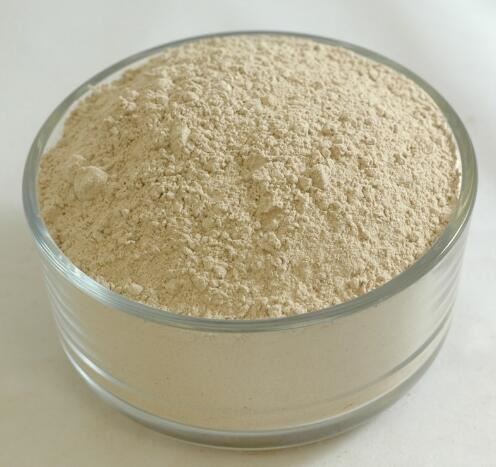yucca schidigera powder