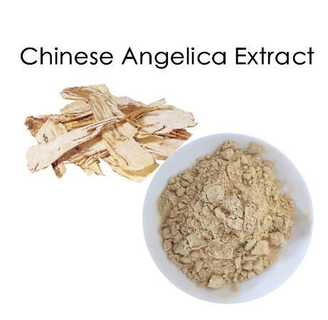 Dong Quai root extract Dong Quai root extract