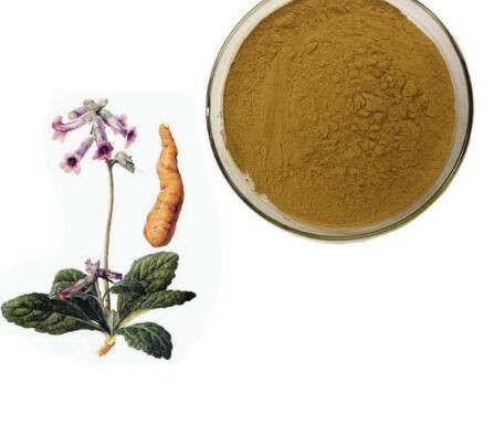 rehmannia chinensis root extract rehmannia chinensis root extract