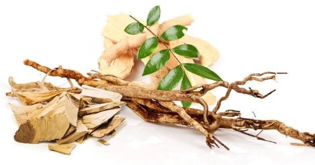 tongkat ali root extract benefits