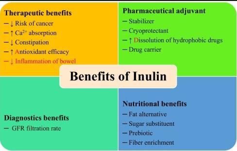 organic inulin benefits
