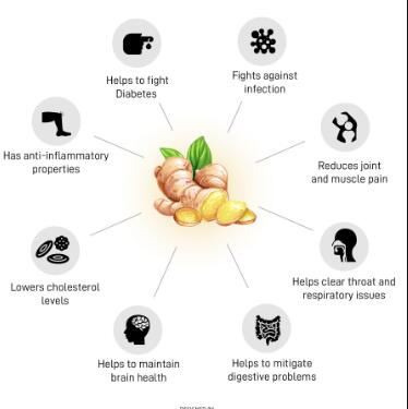 Ginger Benefits