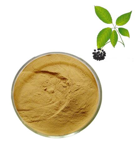 eleutherococcus senticosus root extract