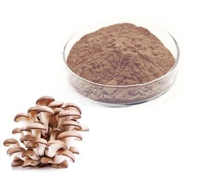 oyster mushroom extract powder