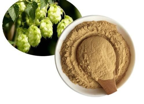 humulus lupulus hop extract