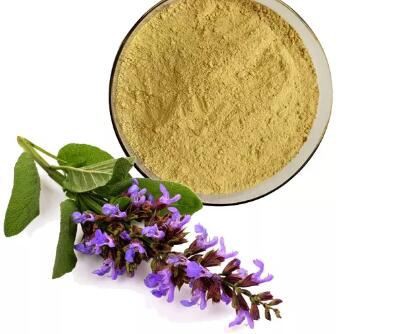 salvia officinalis (sage) leaf extract