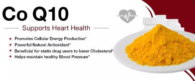 water soluble coq10 benefits