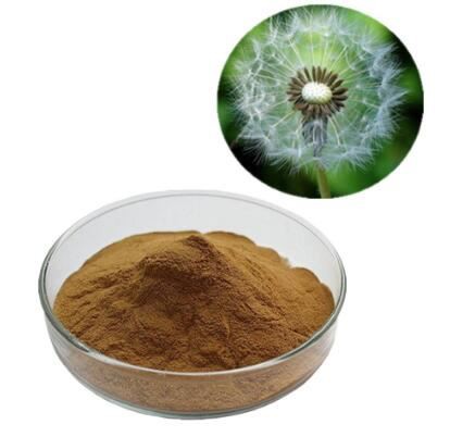 organic dandelion leaf powder organic dandelion leaf powder