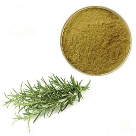 buy rosemary extract