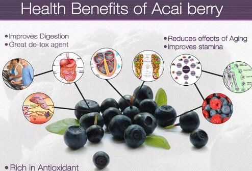 bulk acai powder benefits