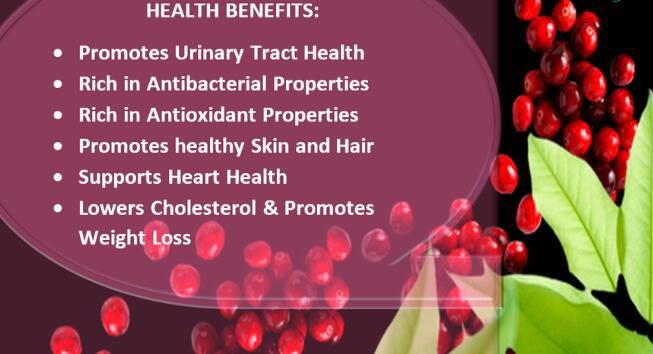 Freeze Dried Cranberry Powder benefits