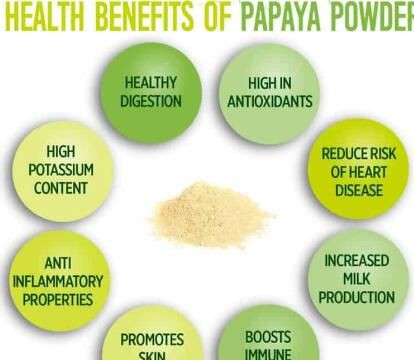 organic papaya powder BENEFITS organic papaya powder BENEFITS