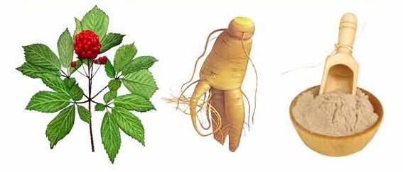 ginseng uses