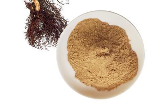 black cohosh standardized extract