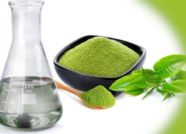 Green Tea Extract Application Green Tea Extract Application