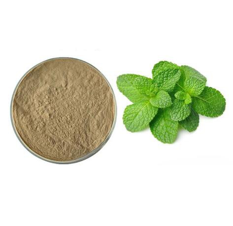 peppermint extract powder