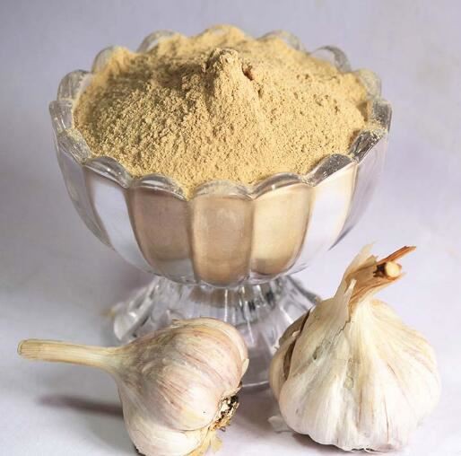 garlic extract powder garlic extract powder