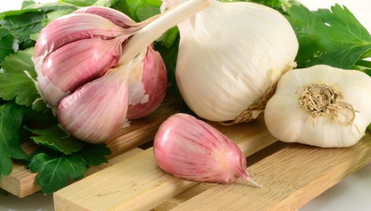 Garlic Bulb benefits Garlic Bulb benefits