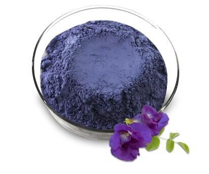 blue butterfly pea flower powder