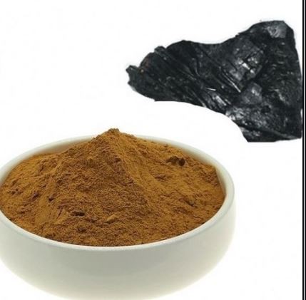 shilajit extract powder