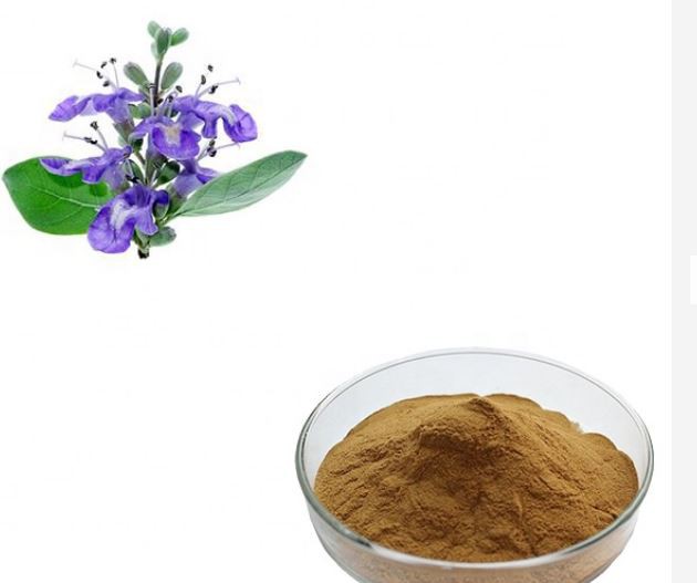vitex chaste berry extract