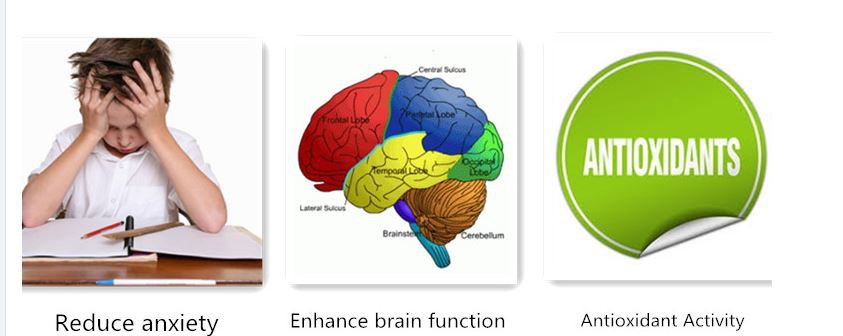 Bacopa Powder Application