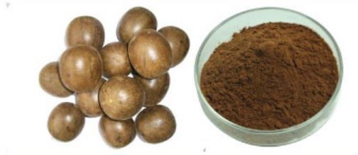 Monk Fruit Mogroside Benefits