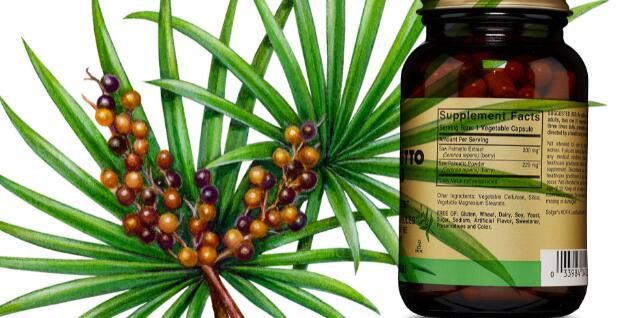Saw Palmetto Powder Application